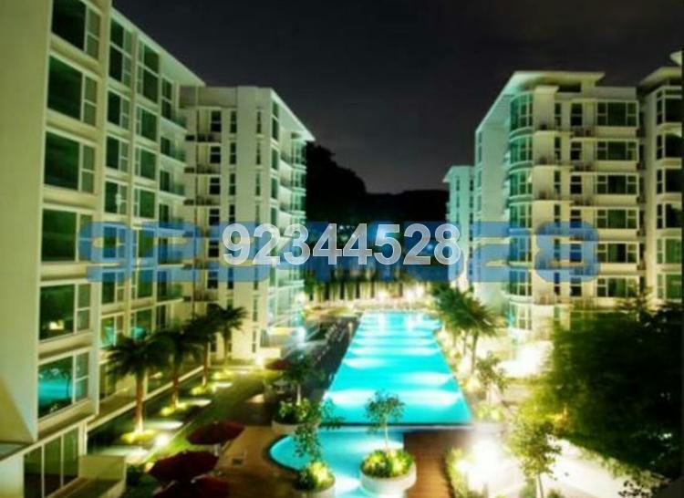 Parc Emily thumbnail photo